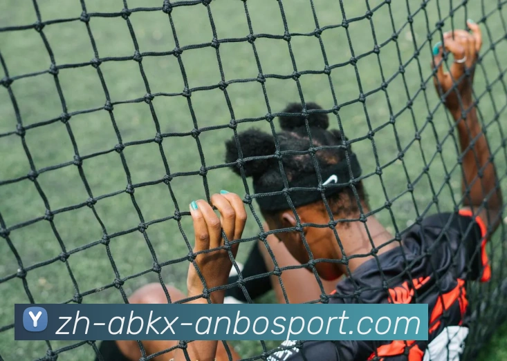 安博体育APP 高清赛事图